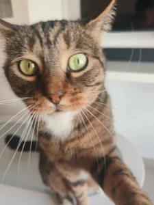 Zeus se toma un selfie