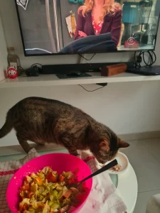 Zeus cenando conmigo