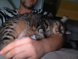 Zeus dormido sobre mi