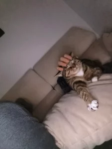 Le rasco la cabeza a Zeus
