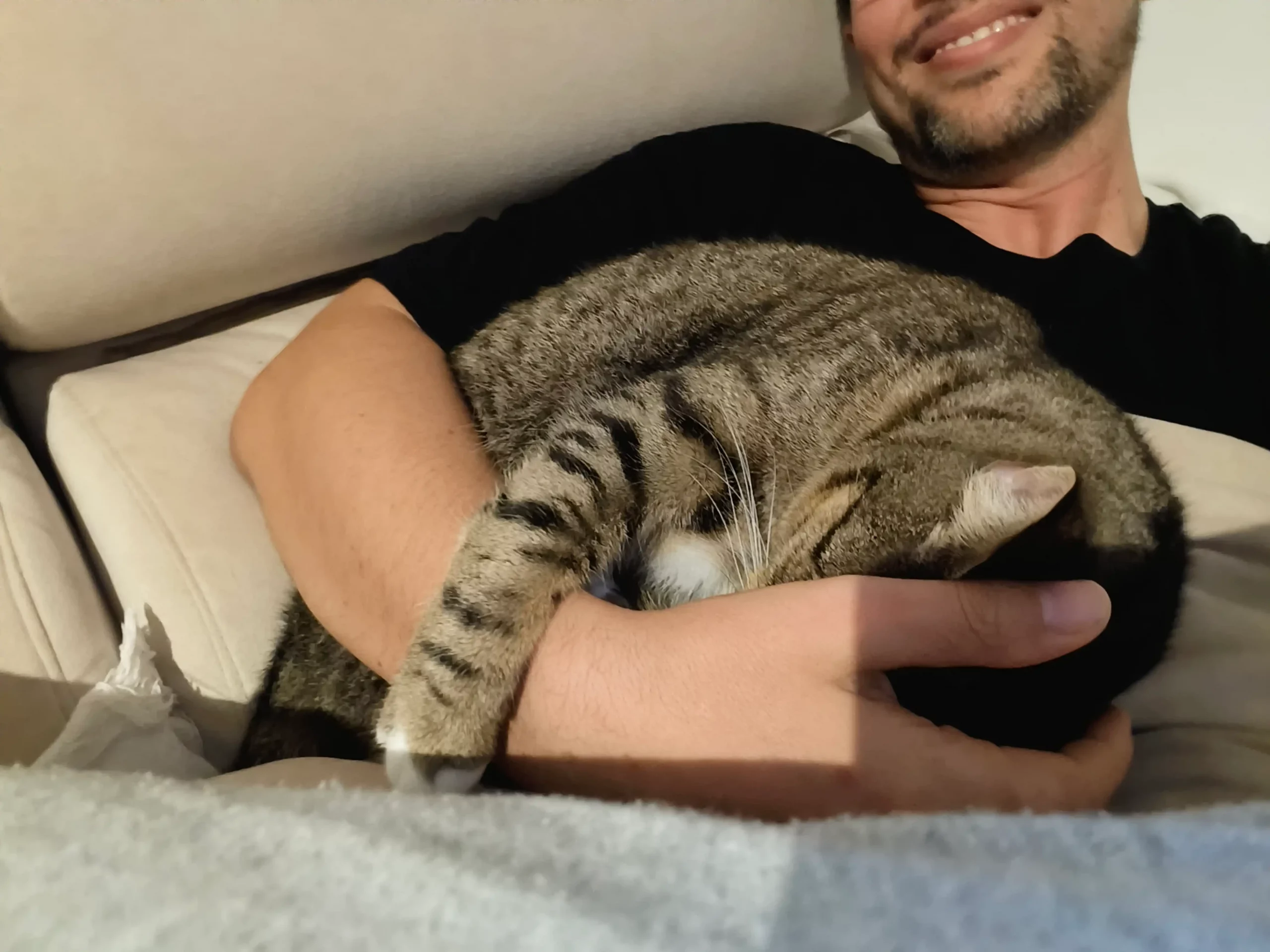 Zeus durmiendo plácidamente